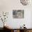 Close-Up of Dusty Bottles, Idaho City, Idaho, USA-Don Paulson-Photographic Print displayed on a wall