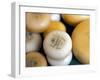 Close-Up of Dutch Cheeses, Amsterdam, the Netherlands (Holland)-Richard Nebesky-Framed Photographic Print