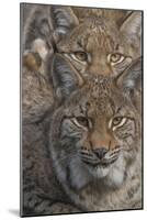 Close-up of Eurasian lynx kittens, aged eight months-Edwin Giesbers-Mounted Photographic Print