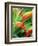 Close-up of Exotic Plant, Dominica, Caribbean, West Indies, Central America-Fred Friberg-Framed Photographic Print