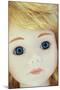 Close Up of Face of Contemporary Girl Doll-Den Reader-Mounted Photographic Print