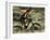 Close up of Fast Moving Mountain Biker, Mt. Bike-Michael Brown-Framed Photographic Print