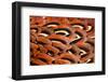 Close up of feathers of cock Pheasant-Alex Hyde-Framed Photographic Print