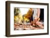 Close up of Feet of a Runner Running in Autumn Leaves Training for Marathon and Fitness Healthy Lif-warrengoldswain-Framed Photographic Print