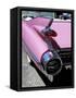 Close-Up of Fin and Lights on a Pink Cadillac Car-Mark Chivers-Framed Stretched Canvas