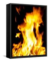 Close-up of fire flames-null-Framed Stretched Canvas