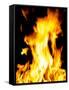 Close-up of fire flames-null-Framed Stretched Canvas