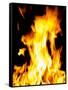 Close-up of fire flames-null-Framed Stretched Canvas