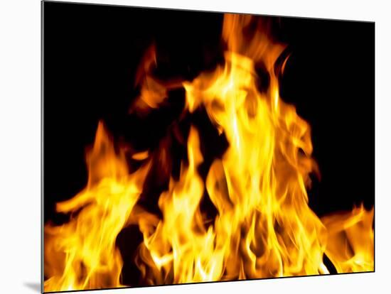 Close-up of fire flames-null-Mounted Photographic Print