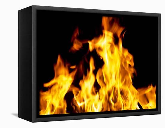 Close-up of fire flames-null-Framed Stretched Canvas