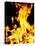 Close-up of fire flames-null-Stretched Canvas