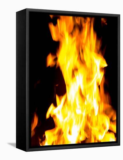 Close-up of fire flames-null-Framed Stretched Canvas