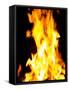 Close-up of fire flames-null-Framed Stretched Canvas