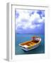 Close-up of Fishing Boat, Aruba-Bill Bachmann-Framed Photographic Print