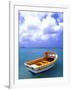 Close-up of Fishing Boat, Aruba-Bill Bachmann-Framed Photographic Print