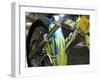 Close-up of Flame Design on a Motorcycle Fender-null-Framed Photographic Print