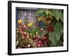 Close-up of Flowers in Front of a House-null-Framed Photographic Print