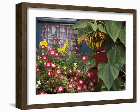 Close-up of Flowers in Front of a House-null-Framed Photographic Print