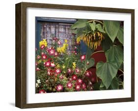 Close-up of Flowers in Front of a House-null-Framed Photographic Print