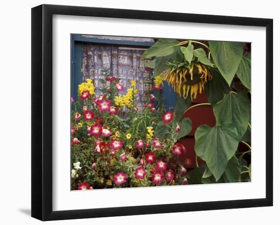 Close-up of Flowers in Front of a House-null-Framed Photographic Print