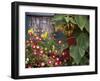 Close-up of Flowers in Front of a House-null-Framed Photographic Print