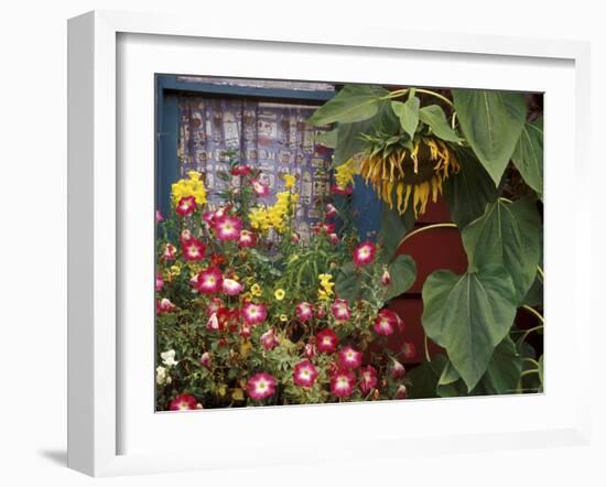 Close-up of Flowers in Front of a House-null-Framed Photographic Print