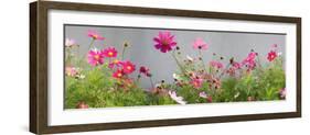 Close-Up of Flowers-null-Framed Premium Photographic Print