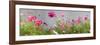 Close-Up of Flowers-null-Framed Premium Photographic Print