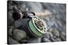 Close-Up of Fly Fishing Reel and Steelhead-Justin Bailie-Stretched Canvas