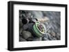 Close-Up of Fly Fishing Reel and Steelhead-Justin Bailie-Framed Photographic Print