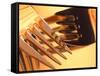 Close-up of Forks-null-Framed Stretched Canvas