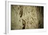 Close Up of Fossilized Algae Inside Los Corales (Galaxies Cave)-Kim Walker-Framed Photographic Print