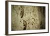 Close Up of Fossilized Algae Inside Los Corales (Galaxies Cave)-Kim Walker-Framed Photographic Print