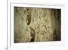 Close Up of Fossilized Algae Inside Los Corales (Galaxies Cave)-Kim Walker-Framed Photographic Print