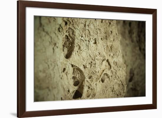 Close Up of Fossilized Algae Inside Los Corales (Galaxies Cave)-Kim Walker-Framed Photographic Print