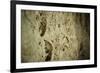 Close Up of Fossilized Algae Inside Los Corales (Galaxies Cave)-Kim Walker-Framed Photographic Print