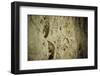 Close Up of Fossilized Algae Inside Los Corales (Galaxies Cave)-Kim Walker-Framed Photographic Print