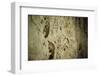 Close Up of Fossilized Algae Inside Los Corales (Galaxies Cave)-Kim Walker-Framed Photographic Print