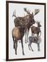 Close-Up of Four Antelopes-null-Framed Giclee Print