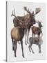 Close-Up of Four Antelopes-null-Stretched Canvas