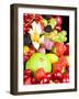 Close up of Fresh Fruits - Fruit assortments - Fruits and Vegetables-Philippe Hugonnard-Framed Photographic Print