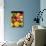 Close up of Fresh Fruits - Fruit assortments - Fruits and Vegetables-Philippe Hugonnard-Mounted Premium Photographic Print displayed on a wall