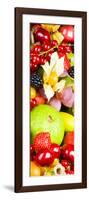 Close up of Fresh Fruits - Fruit assortments - Fruits and Vegetables-Philippe Hugonnard-Framed Photographic Print