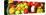 Close up of Fresh Fruits - Fruit assortments - Fruits and Vegetables-Philippe Hugonnard-Stretched Canvas