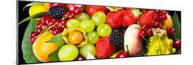 Close up of Fresh Fruits - Fruit assortments - Fruits and Vegetables-Philippe Hugonnard-Mounted Photographic Print