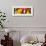 Close up of Fresh Fruits - Fruit assortments - Fruits and Vegetables-Philippe Hugonnard-Framed Photographic Print displayed on a wall