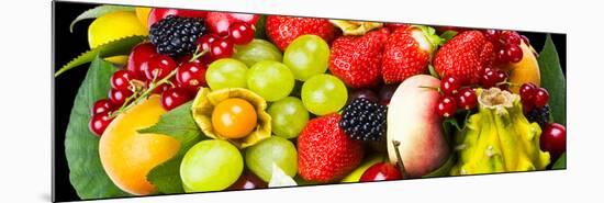 Close up of Fresh Fruits - Fruit assortments - Fruits and Vegetables-Philippe Hugonnard-Mounted Photographic Print