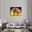 Close up of Fresh Fruits - Fruit assortments - Fruits and Vegetables-Philippe Hugonnard-Photographic Print displayed on a wall