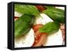 Close-Up of Fresh Mozzarella and Tomato Salad-Foodcollection-Framed Stretched Canvas