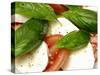 Close-Up of Fresh Mozzarella and Tomato Salad-Foodcollection-Stretched Canvas